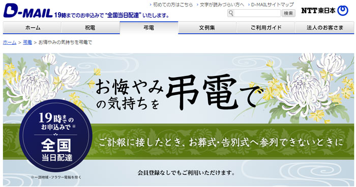 高いけど19時まで全国即日配達【D-MAIL(NTT東日本)】